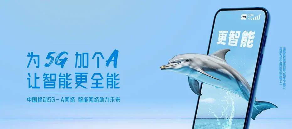 双桥区双桥区石洞子沟街道 移动宽带